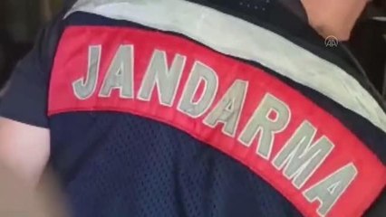 KAHRAMANMARAŞ - Evinde kenevir yetiştirdiği iddiasıyla bir kişi yakalandı