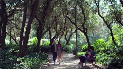 Concluye exitosamente el FICPV 2022| CPS Noticias Puerto Vallarta