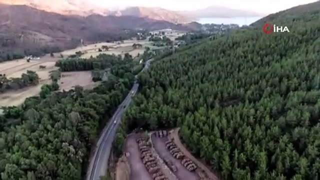 Yazık günah değil mi? Marmaris'te yürekleri dağlayan kara tablo havadan görüntülendi