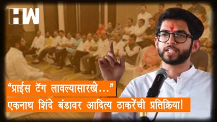 “प्राईस टॅग लावल्यासारखे…” Eknath Shinde यांच्या बंडावर Aaditya Thackeray यांची प्रतिक्रिया| ShivSena