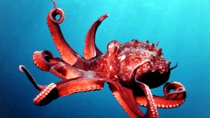 10 Materiales Increíbles que se Reparan Solos