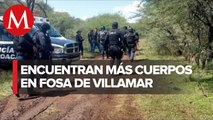 Suman 17 cuerpos encontrados en una fosa clandestina en Villamar, Michoacán