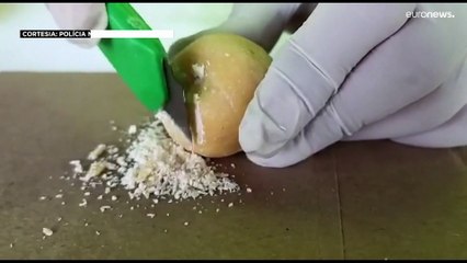1.300 quilos de droga apreendidos na Colômbia