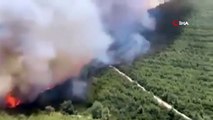KKTC'de de orman yangınları başladı: Mücadele sürüyor