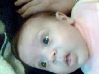 Gazouillis du matin 120308