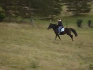 le bonheur est dans le pré