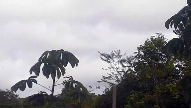 Boeing 737-800 HP-1843CMP Continental Airlines coming from Santarém(Pará) to Manaus(Amazonas)