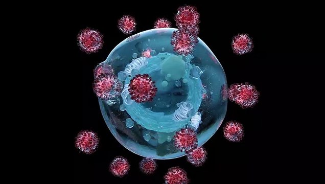 Omicron 5. Sintomi, contagiosità ed efficacia dei tamponi: come riconoscere la variante e difendersi