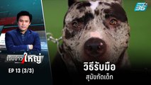 ครูฝึกแนะวิธีรับมือสุนัขกัดเด็ก | เข้มข่าวใหญ่ (3/3) | 22 มิ.ย. 65