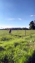 Girl Folds Over Wired Fence Trying to Jump Over it