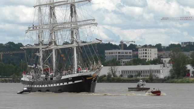 Les grands voiliers de Bordeaux fête le vin