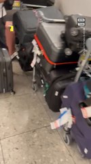 Heathrow Airport Has Massive Luggage Pileup