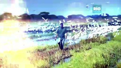 PIEZA RIO VERDE PARA MERCADEO