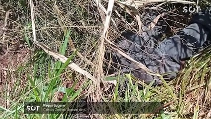 Ossada Humana é encontrada em Santa Tereza Do Oeste