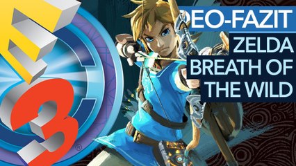 The Legend of Zelda: Breath of the Wild - Heiko hat's gespielt - hier das Video-Fazit