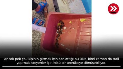 23 bin TL'lik tatil kabusa döndü! 'Her taraf fare ve böceklerle dolu'