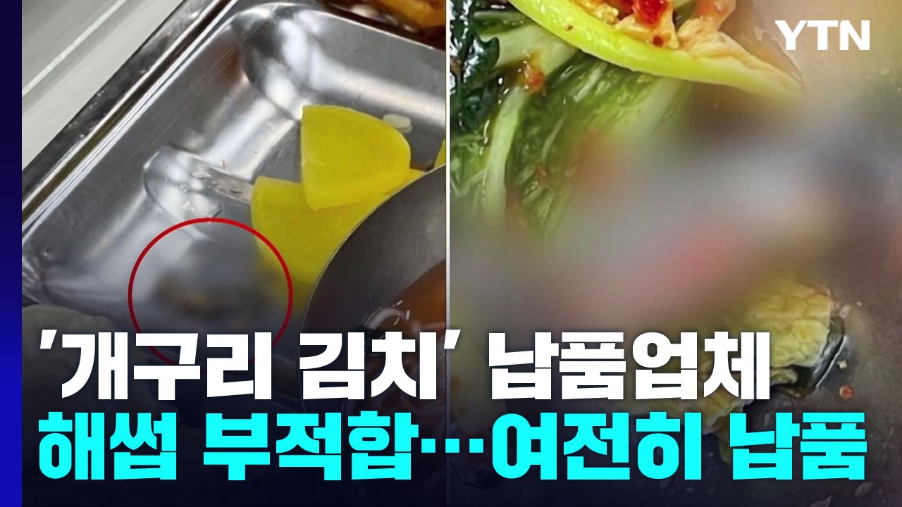 '개구리 급식' 열무김치 납품업체 해썹 부적합...학교 72곳에 여전히 김치 납품 /...