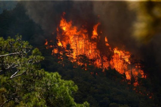 Marmaris yangını söndürüldü mü, son durum nedir? 23 Haziran Muğla Marmaris yangın söndürme çalışmaları devam ediyor mu? Yangın devam mı ediyor?