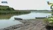 Lluvias le devuelven la vida a Laguna de San Julián en Veracruz