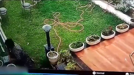 Heads Up! Fails of the Week   FailArmy