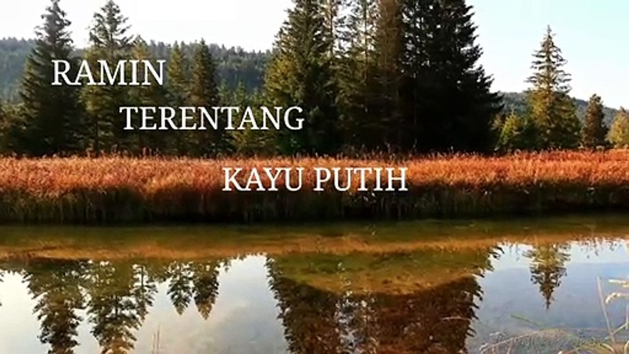 POTENSI SUMBER DAYA ALAM INDONESIA