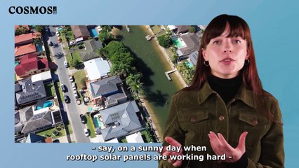 What could our electricity grid look like in the future? | June 23, 2022 | Cosmos Magazine