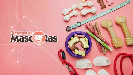 Hablemos de mascotas 22/6/22