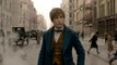 Phantastische Tierwesen und wo sie zu finden sind - Neuer Trailer zum Harry-Potter-Prequel mit Eddie Redmayne