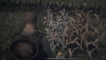 The Black Death - Trailer zur Bauern-Klasse