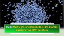 Study: Mushroom extract supports clearing human papillomavirus (HPV) infections