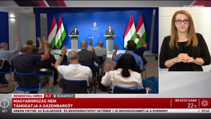 Ryanair-vezér az Euronewsnak: a magyar miniszterek olyanok, mint Dumb és Dumber