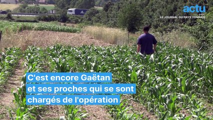Grippe aviaire : Gaëtan a dû abattre lui-même ses 18 500 volailles