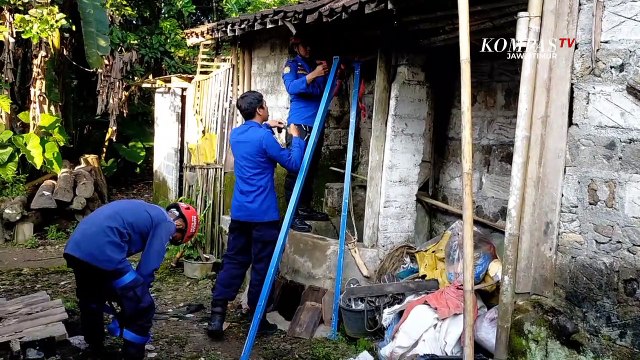 Kucing Anggora Terjebak Dalam Sumur di Blitar, Pemilik Minta Bantuan Damkar