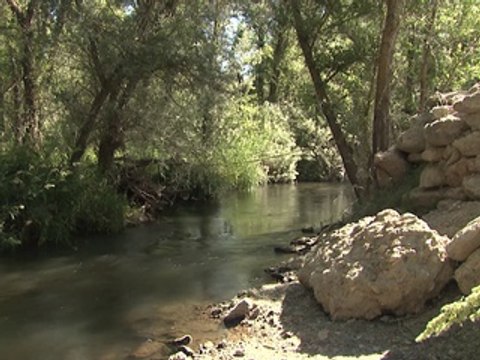 Se inaugura el Proyecto Jarama, una iniciativa para devolver 500 millones de litros de agua al río