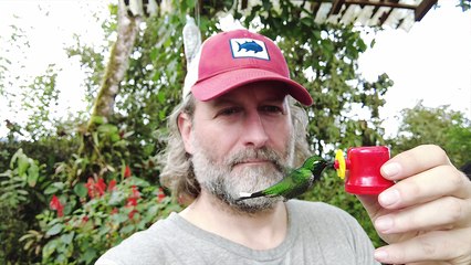 Stunning Slow Motion Footage of a Hummingbird Eating from a Mans Hand