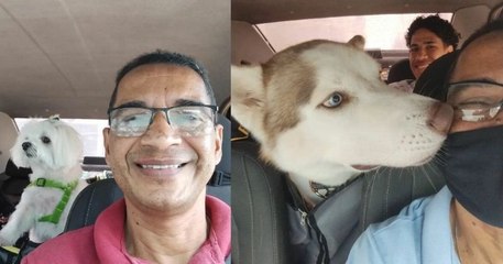 Il lance un service de taxi pour animaux et se prend en selfie avec ses compagnons de route