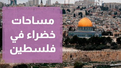 توفير مساحات خضراء في المدن والحيز العام في فلسطين