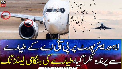 Lahore-bound PIA flight escapes accident after bird strike