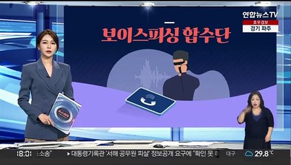 [그래픽뉴스] 보이스피싱 합수단