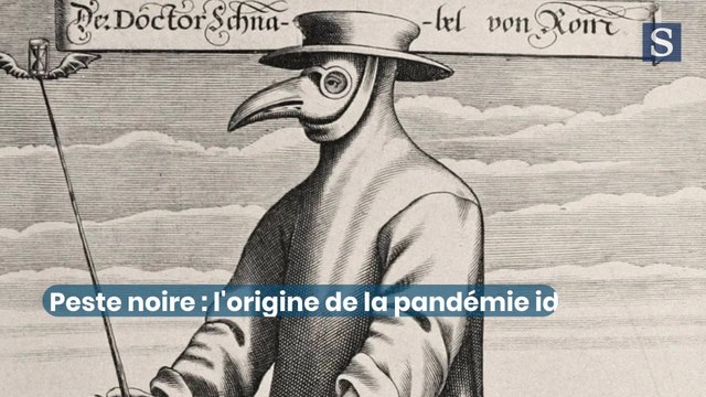 Peste noire : l'origine de la pandémie identifiée des siècles plus tard