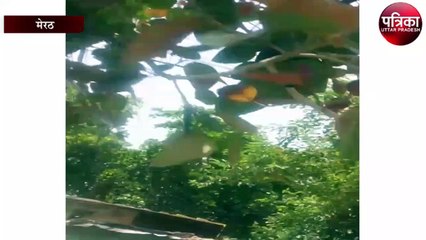 तेज धूप और हवा के साथ दिन की शुरुआत, गर्मी और तापमान का ये है मिजाज