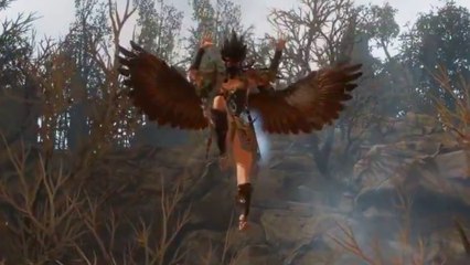 Divinity: Original Sin 2 - Trailer: So viele Features, da muss selbst der Sprecher schreien