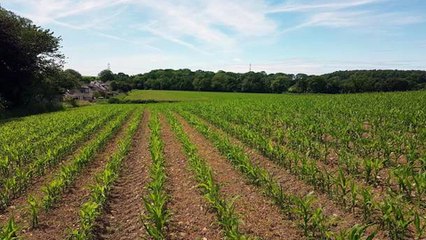 Lancaster Guardian news update: Villagers fight plans for 115 new homes near Lancaster
