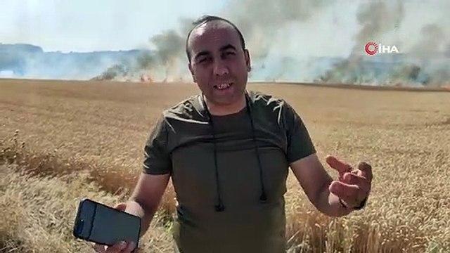 Tekirdağ'da 300 dönüm buğday tarlası alev alev yandı
