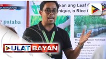 Department of Agriculture, hinikayat ang mga magsasaka sa Bicol na gumamit ng abonong SWAK