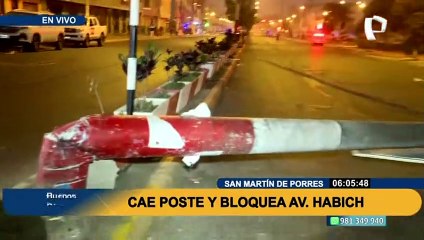 ¡Atención! SMP: Caen tres postes de luz y bloquean avenida Habich