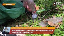 Por primera vez, misiones no registra casos de dengue confirmado