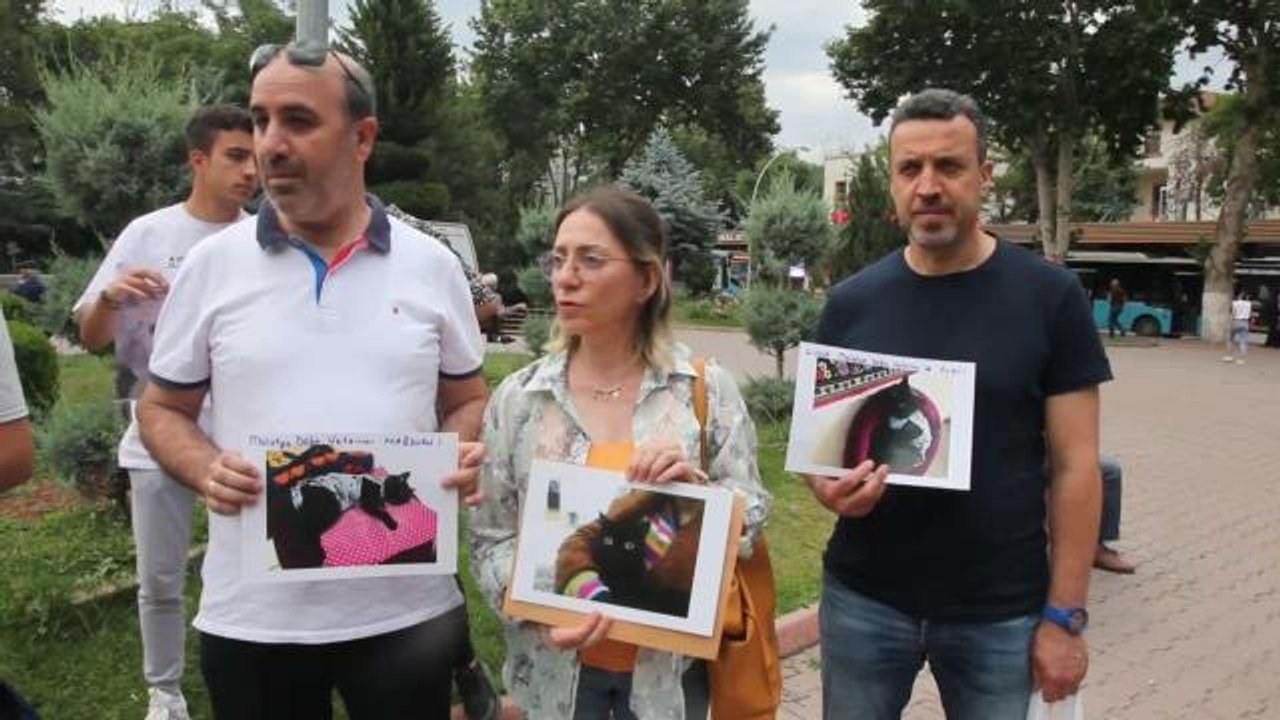 Malatya'da Evcil Hayvan Sahipleri Veterineri Şikayet Etti, Savcılık "Kasıt Yok" Diyerek Takipsizlik Verdi