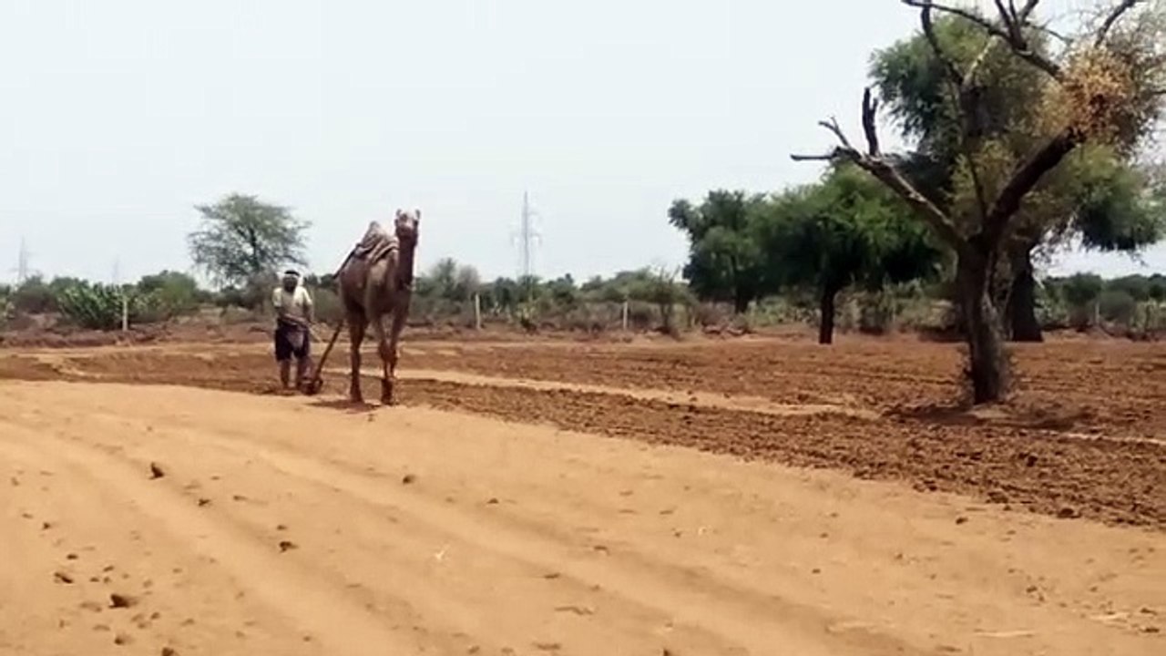 VIDEO: राजस्थान में प्री मानसून की बारिश थमते ह...