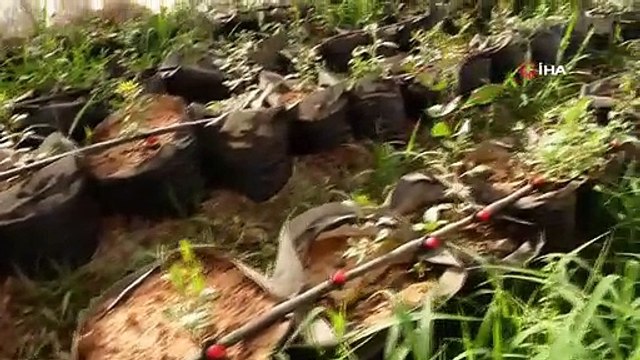 Mardin'de meslek lisesinde uygulamalı tarım eğitimi